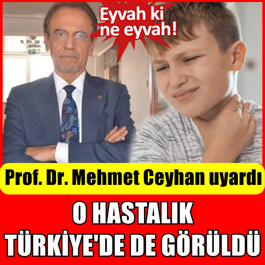 3 ilde görüldü! Prof. Dr. Mehmet Ceyhan uyardı: Hemen yoğun bakıma