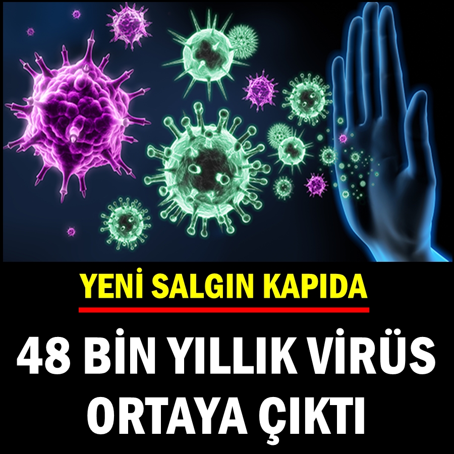 48 bin yıllık virüs ortaya çıktı