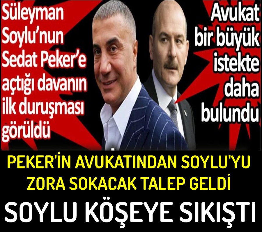 Süleyman Soylu’nun açtığı davada Sedat Peker’in avukatı iki önemli istekte bulundu